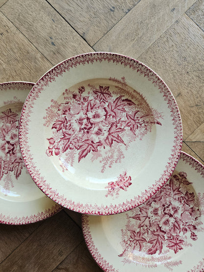 DecorÉglantines de Onnaing sur assiettes creuses anciennes en terre de fer