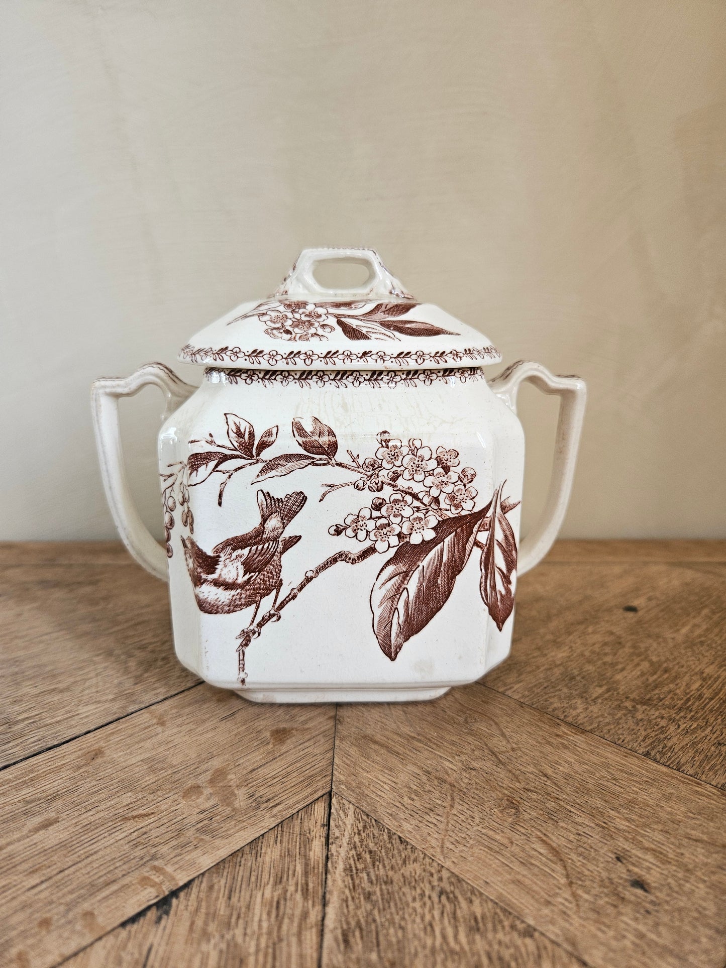 Sucrier ancien oiseaux et fleurs, couleur sépia. Terre de fer. Rappelant le modèle Silva de Creil et Montereau. 