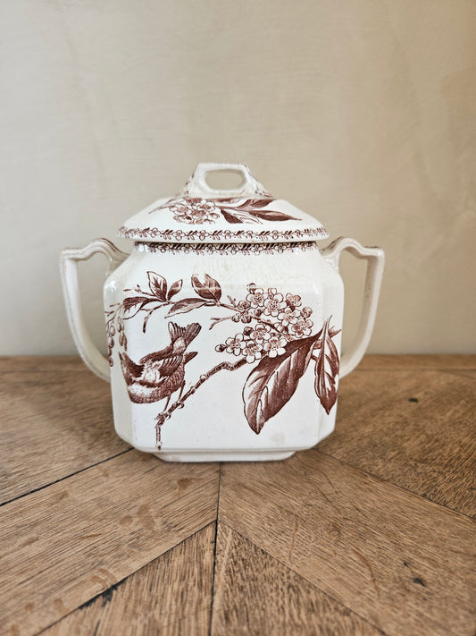 Sucrier ancien oiseaux et fleurs, couleur sépia. Terre de fer. Rappelant le modèle Silva de Creil et Montereau. 