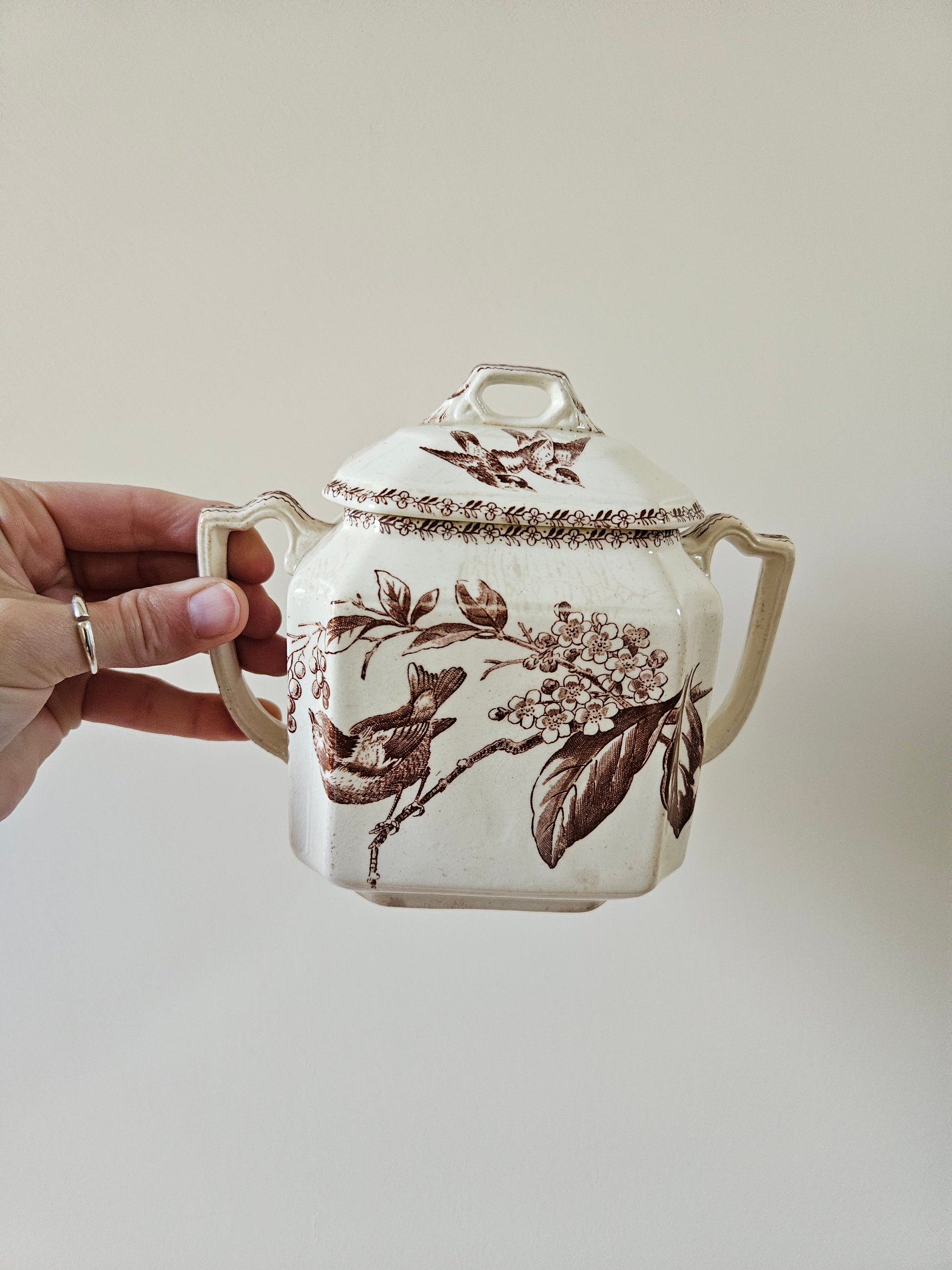 Sucrier ancien oiseaux et fleurs, couleur sépia. Terre de fer. Rappelant le modèle Silva de Creil et Montereau. 