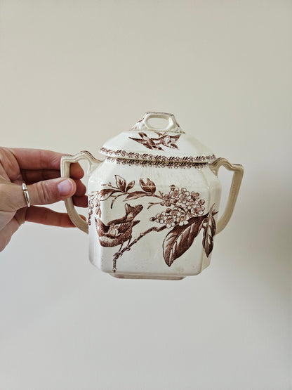 Sucrier ancien oiseaux et fleurs, couleur sépia. Terre de fer. Rappelant le modèle Silva de Creil et Montereau. 