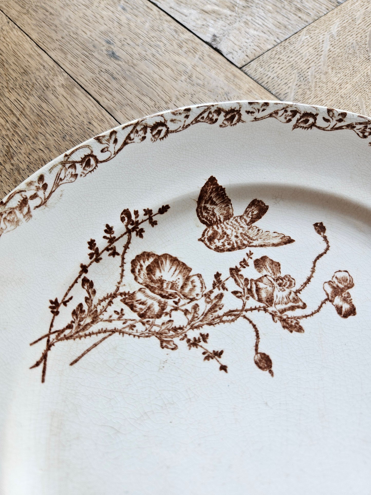 Assiettes plates terre de fer, coquelicots