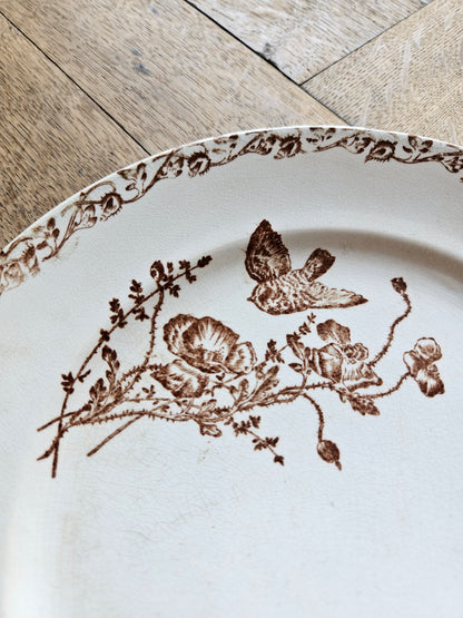 Assiettes plates terre de fer, coquelicots