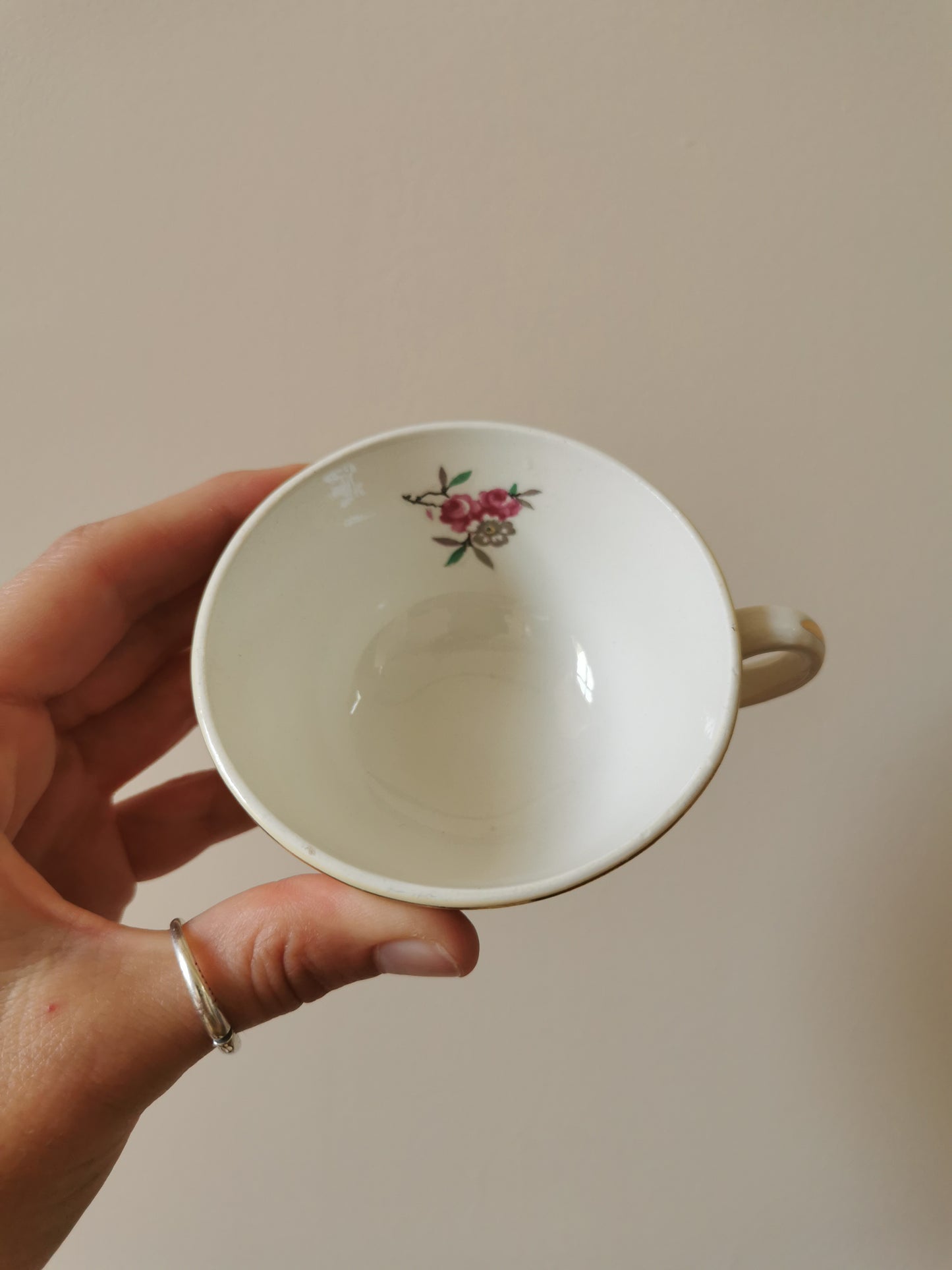 Tasses Ceranord St Amand, Dany