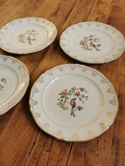 Assiettes plates dépareillées Oiseaux