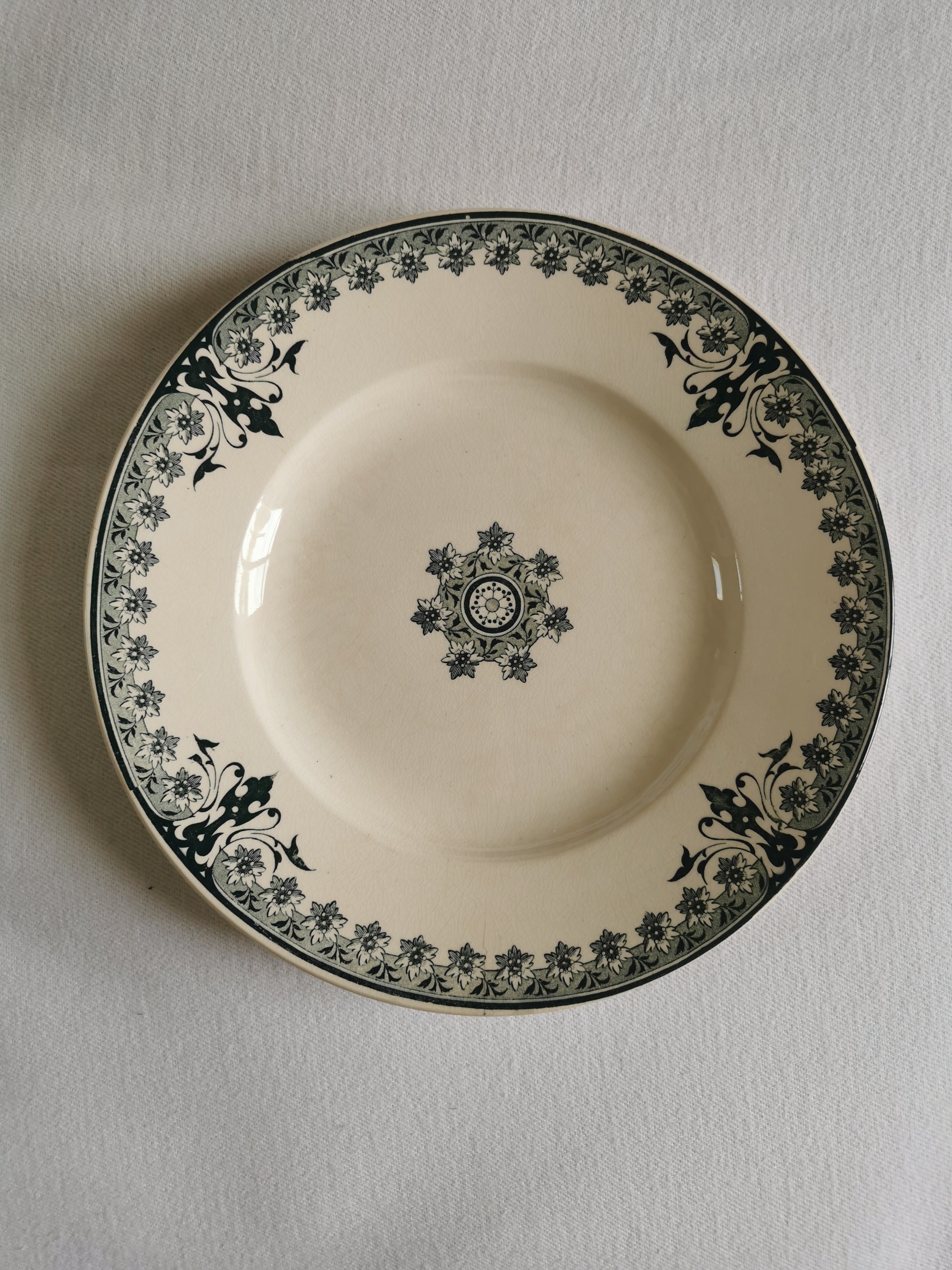 Assiette plate ancienne terre de fer décor oiseaux libellule Assiette plate ancienne terre de fer décor oiseaux libellule