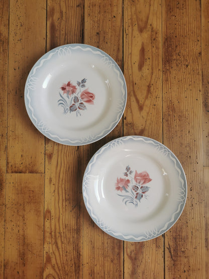 Assiettes plates rétro dépareillées