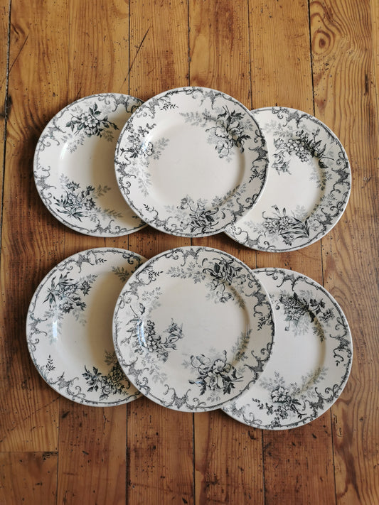 Assiettes à dessert en terre de fer, H.C