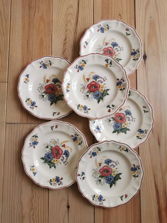 Assiettes plates Sarreguemines, Agreste