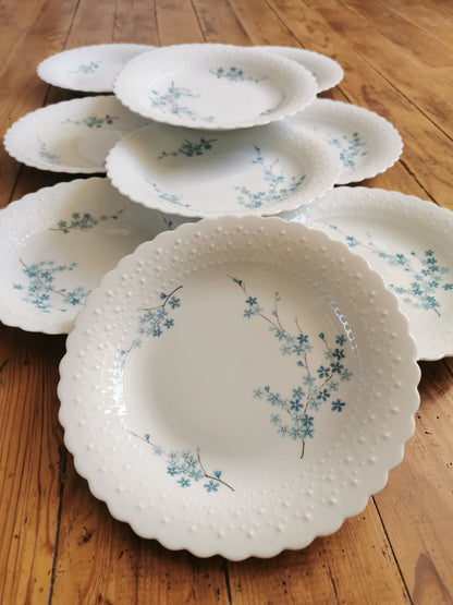 Assiettes creuses porcelaine, Myosotis