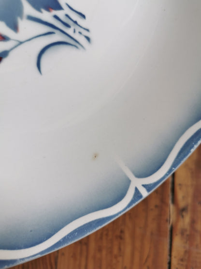 Assiettes calottes Digoin, Nina Rosa