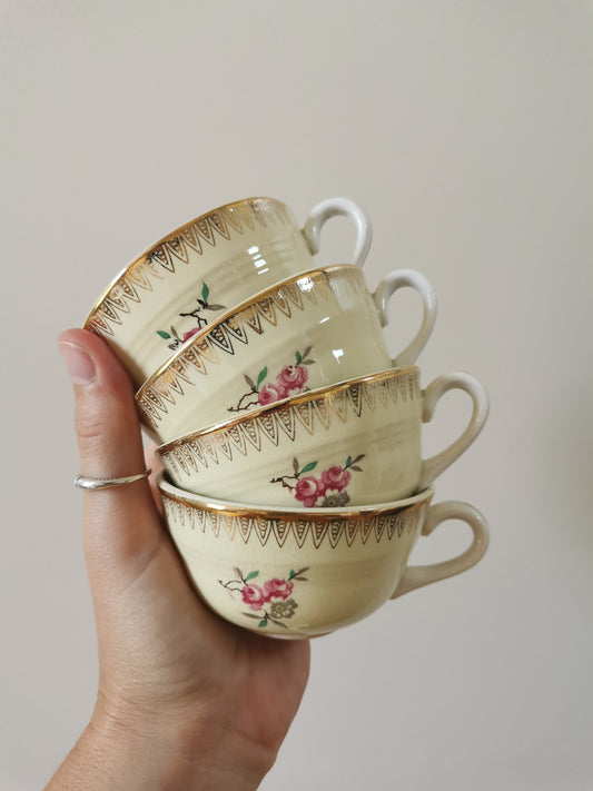 Tasses Ceranord St Amand, Dany