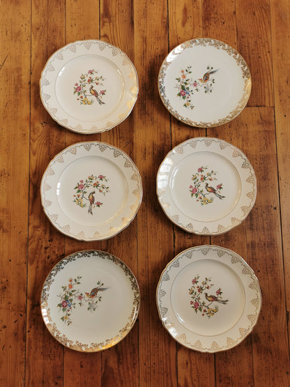 Assiettes plates dépareillées Oiseaux