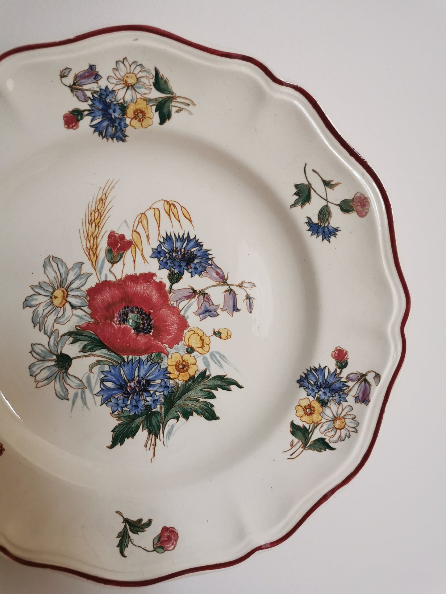 Assiettes plates Sarreguemines, Agreste