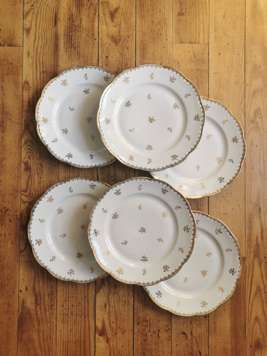 Assiettes plates porcelaine S.F.P