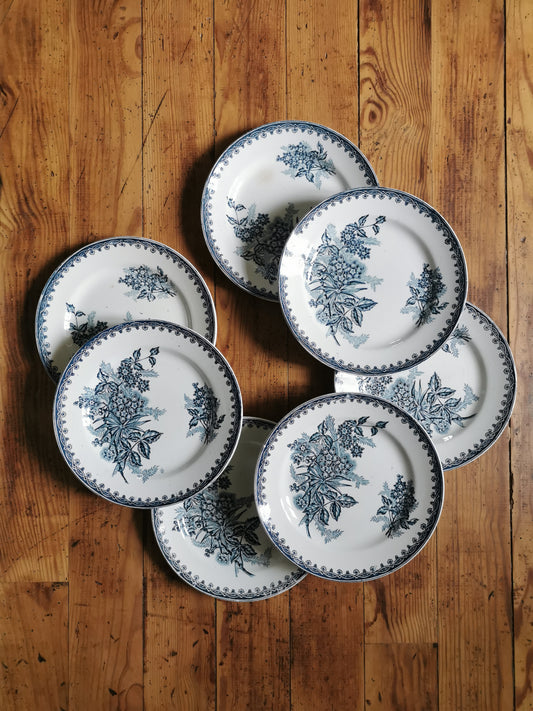 Assiettes plates Ste Amandinoise, Margot