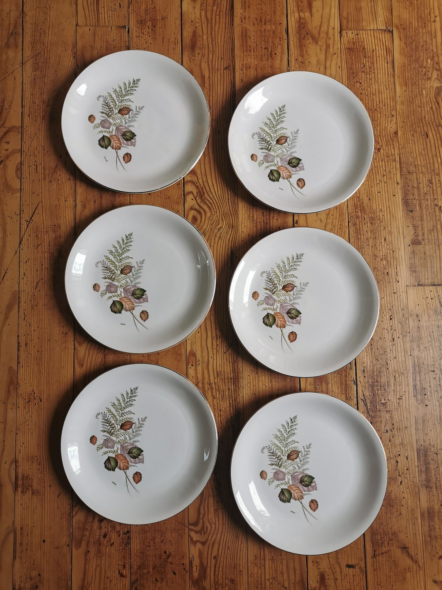 Assiettes plates Digoin, Thais