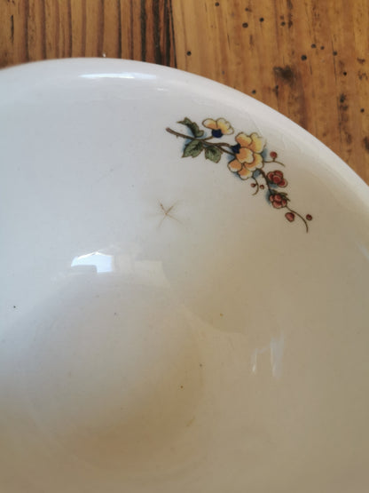 Tasses Villeroy & Boch, Phoenix