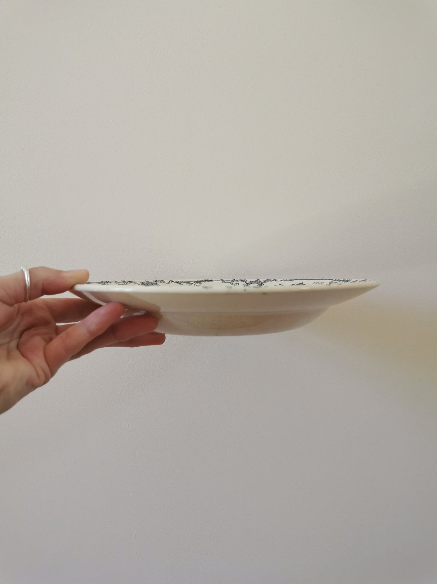 Assiettes creuses en terre de fer, H.C