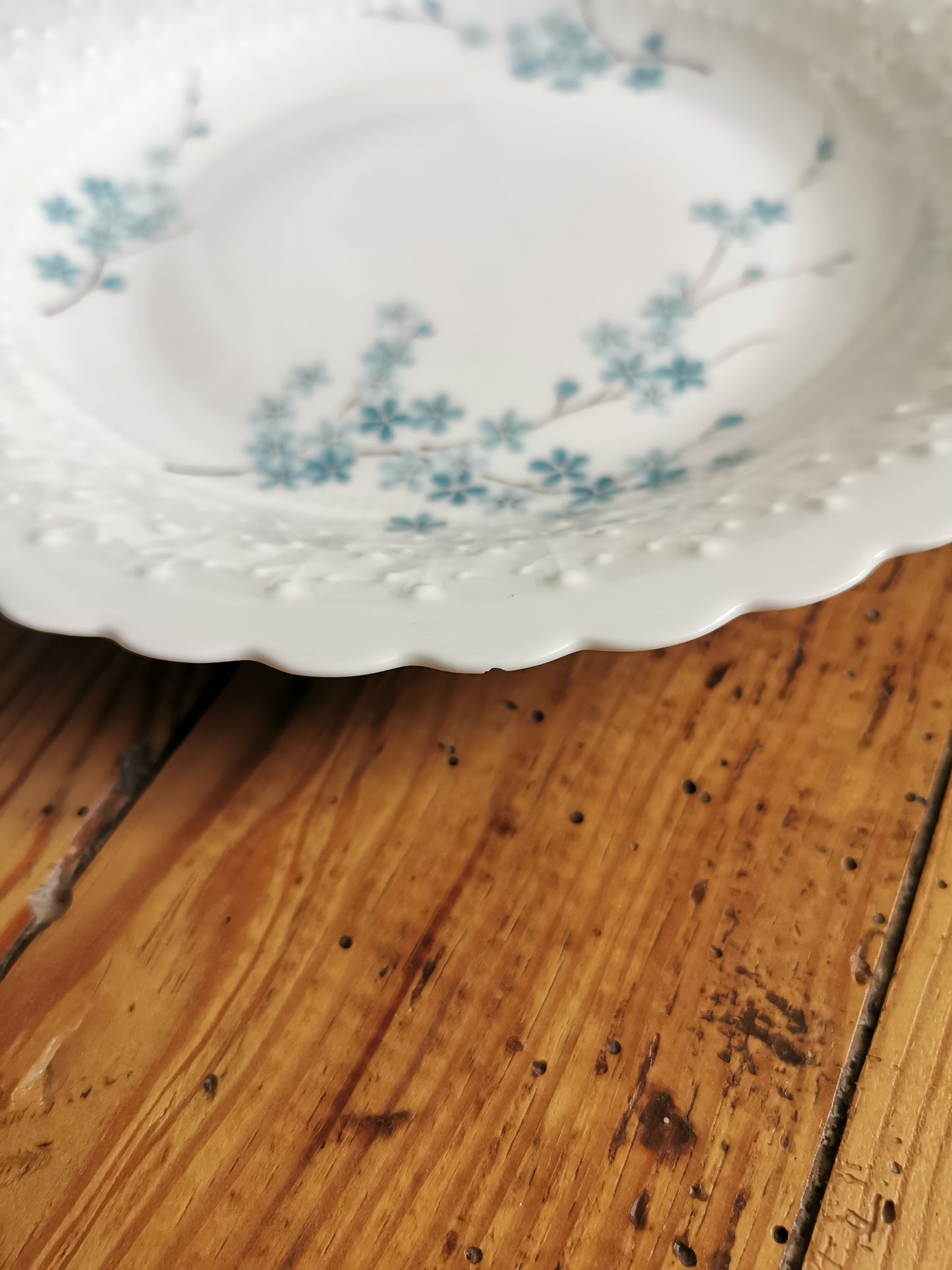 Assiettes creuses porcelaine, Myosotis