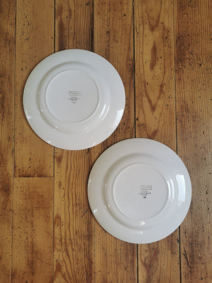 Assiettes plates rétro dépareillées