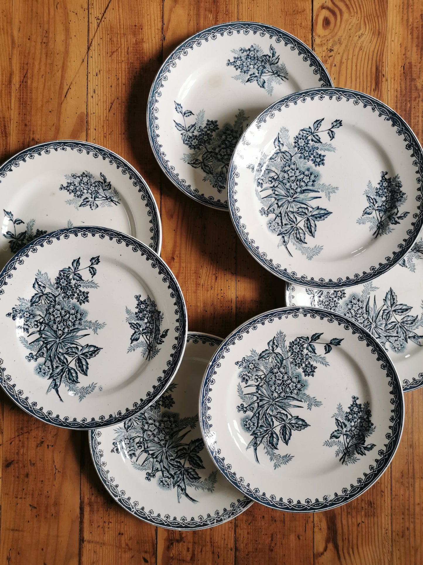 Assiettes plates Ste Amandinoise, Margot