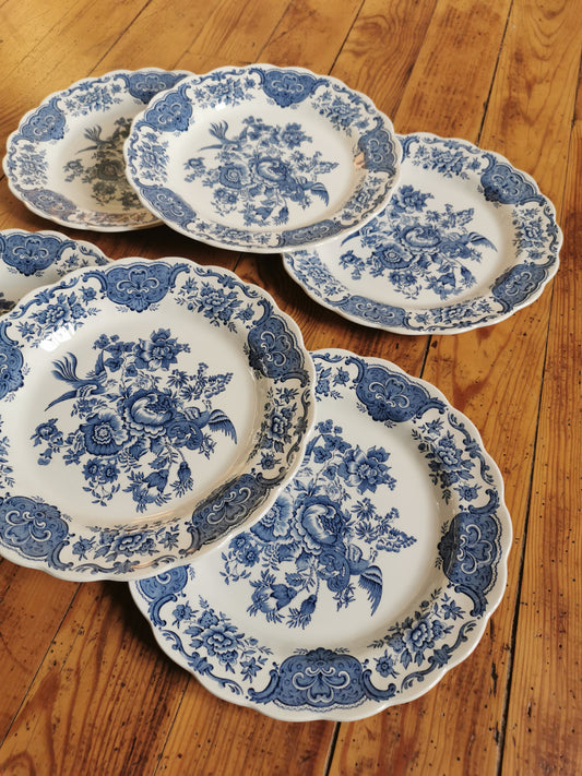 Assiettes plates vintage Ridgway, Windsor