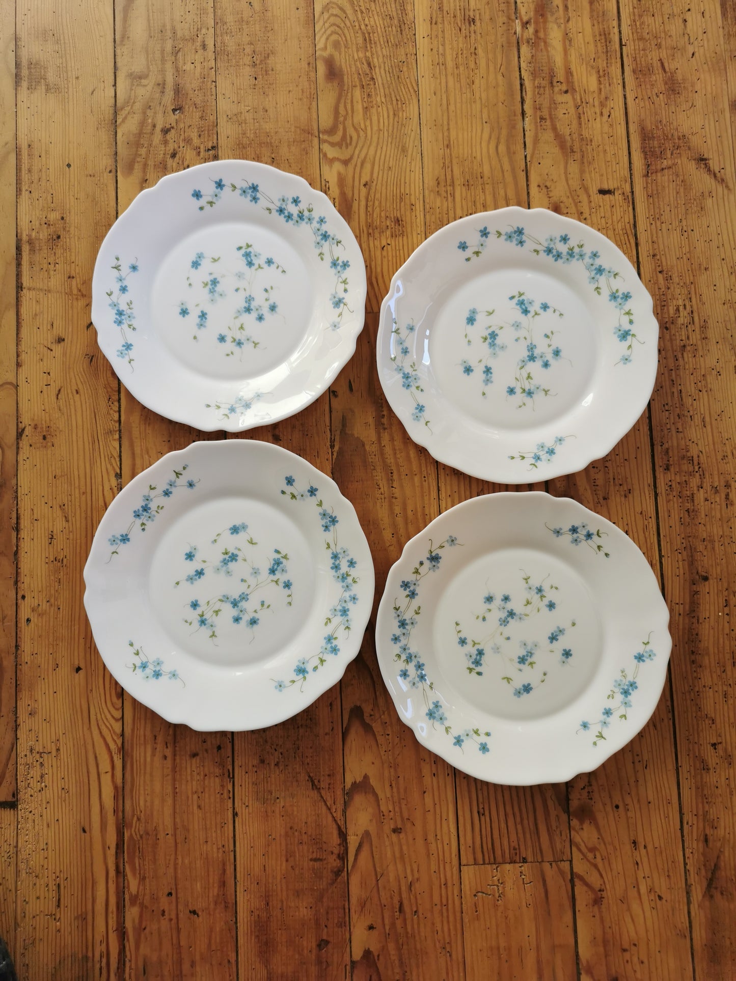 Assiettes vintage Arcopal Veronica myosotis 