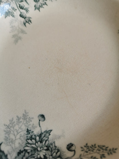 Assiettes creuses en terre de fer, H.C