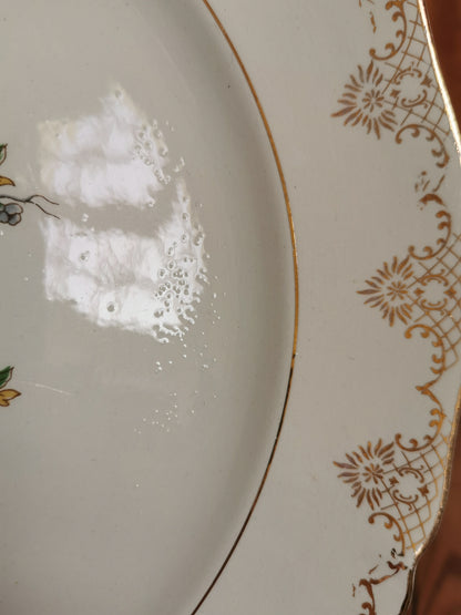 Assiettes plates dépareillées Oiseaux