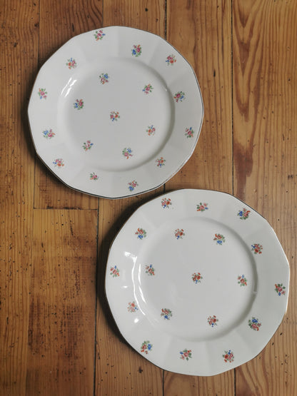 Assiettes plates Digoin fleuries