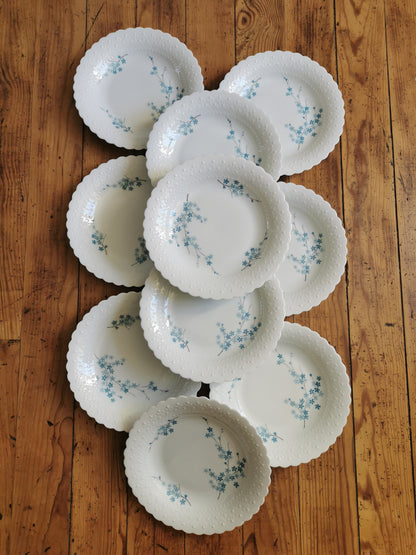 Assiettes creuses porcelaine, Myosotis