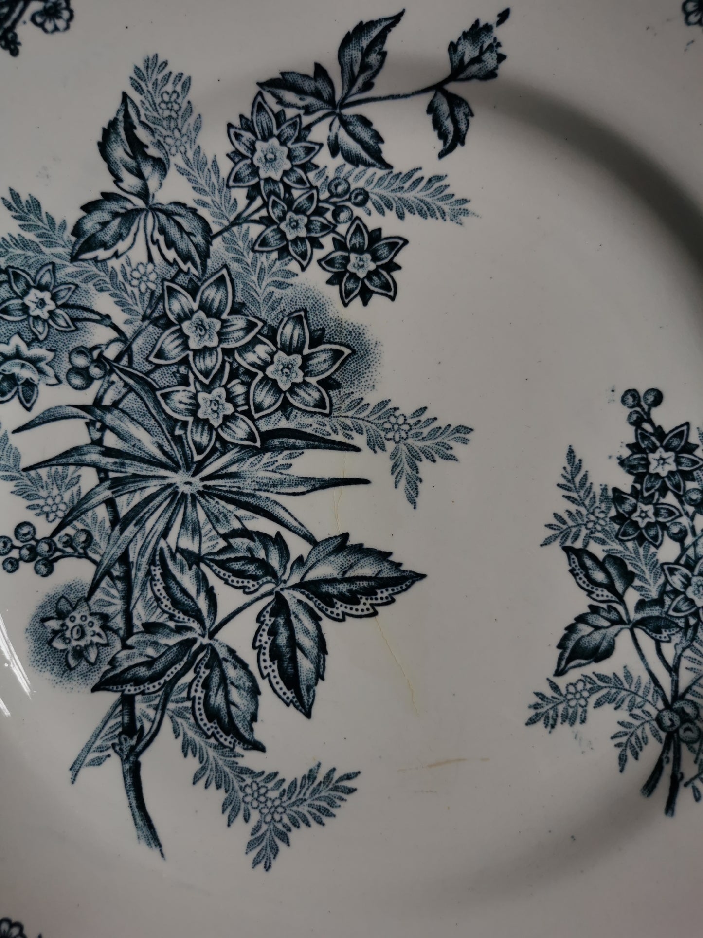 Assiettes plates Ste Amandinoise, Margot