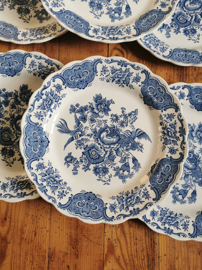 Assiettes plates vintage Ridgway, Windsor