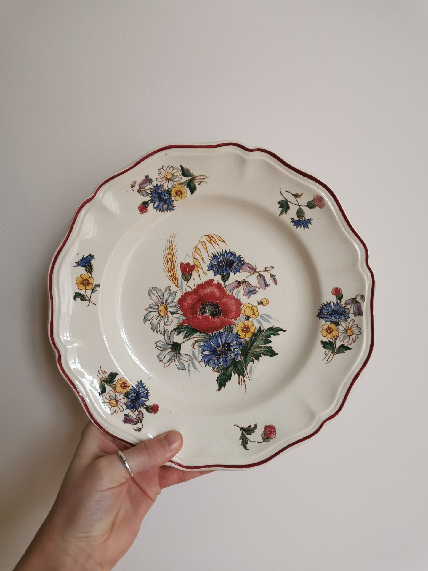 Assiettes plates Sarreguemines, Agreste