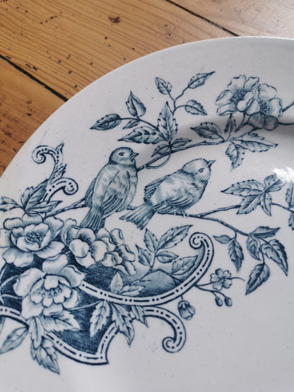 Assiettes plates St Amand, oiseaux