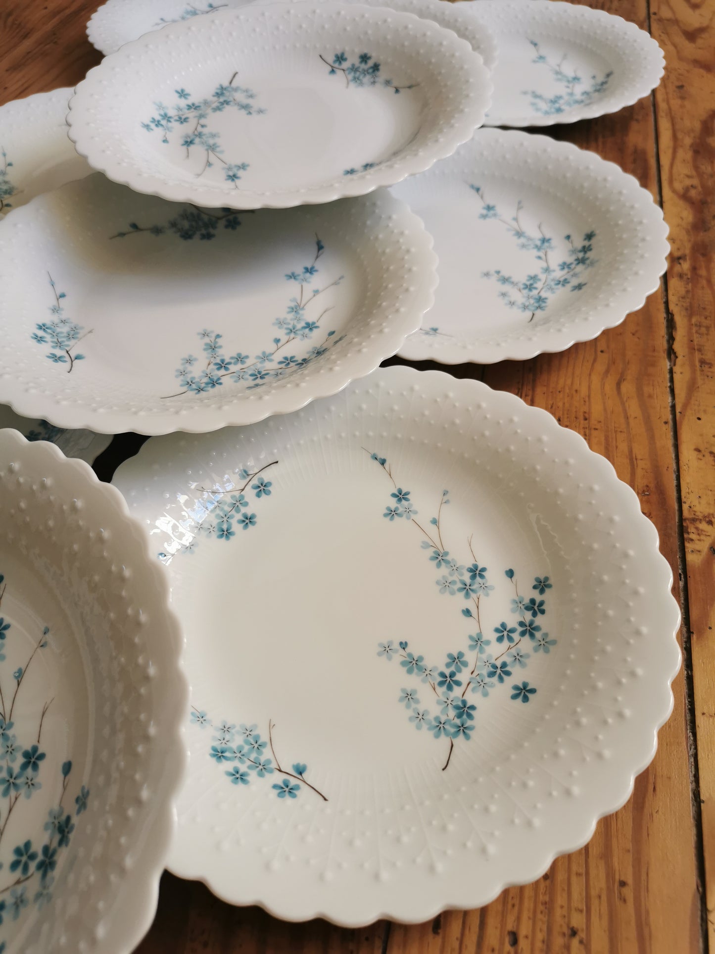 Assiettes creuses porcelaine, Myosotis