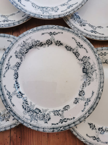 Assiettes plates Salins, Ninon