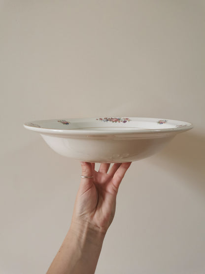 Plat creux Sarreguemines, Guy