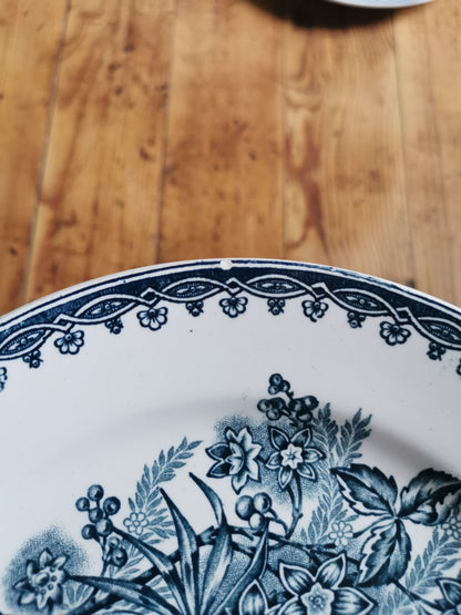 Assiettes plates Ste Amandinoise, Margot