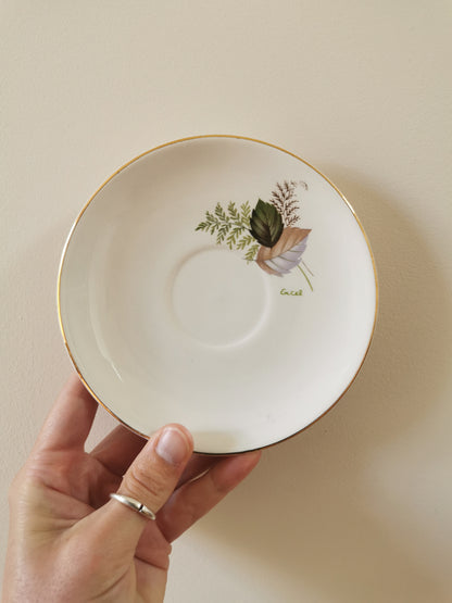 Tasses à café Digoin, Thais