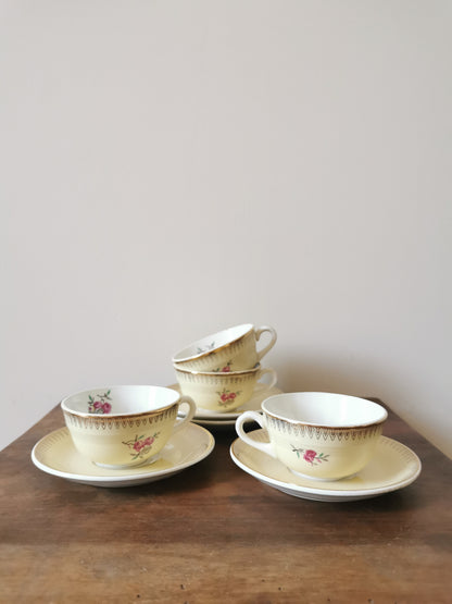 Tasses Ceranord St Amand, Dany