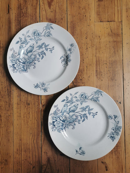 Assiettes plates St Amand, oiseaux