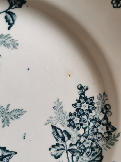 Assiettes plates Ste Amandinoise, Margot